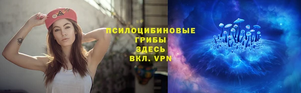 стафф Дмитровск