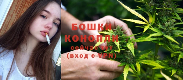 стафф Дмитровск