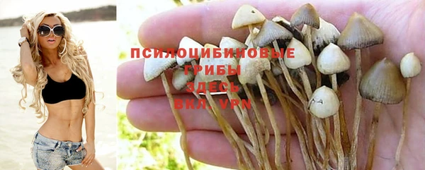 мет Горно-Алтайск