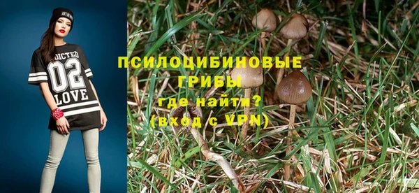 стафф Дмитровск
