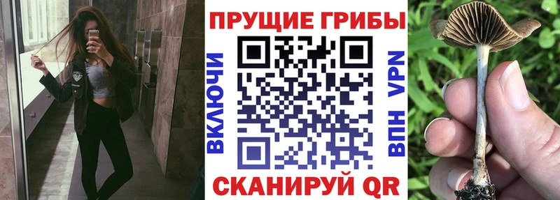 купить закладку  Котельниково  mega ССЫЛКА  Галлюциногенные грибы ЛСД 
